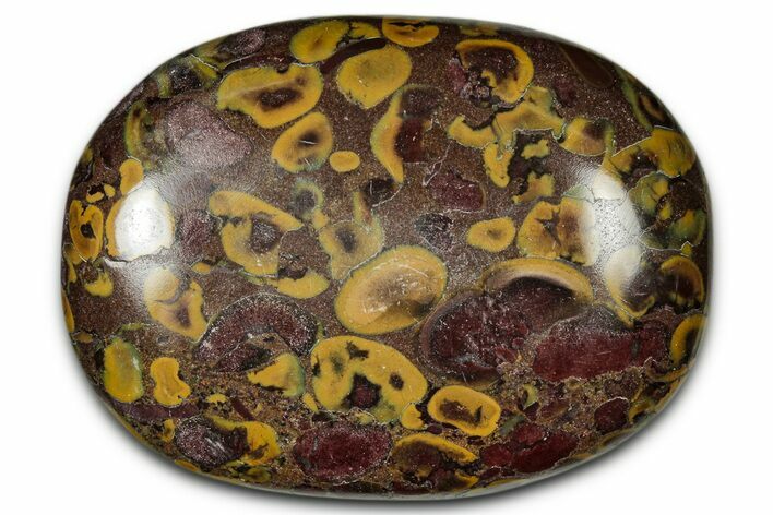 Polished Fruit Jasper Palm Stone - India #342243